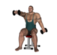 Anterior Raise - Seated Upright Dumbbell Forward Alternate